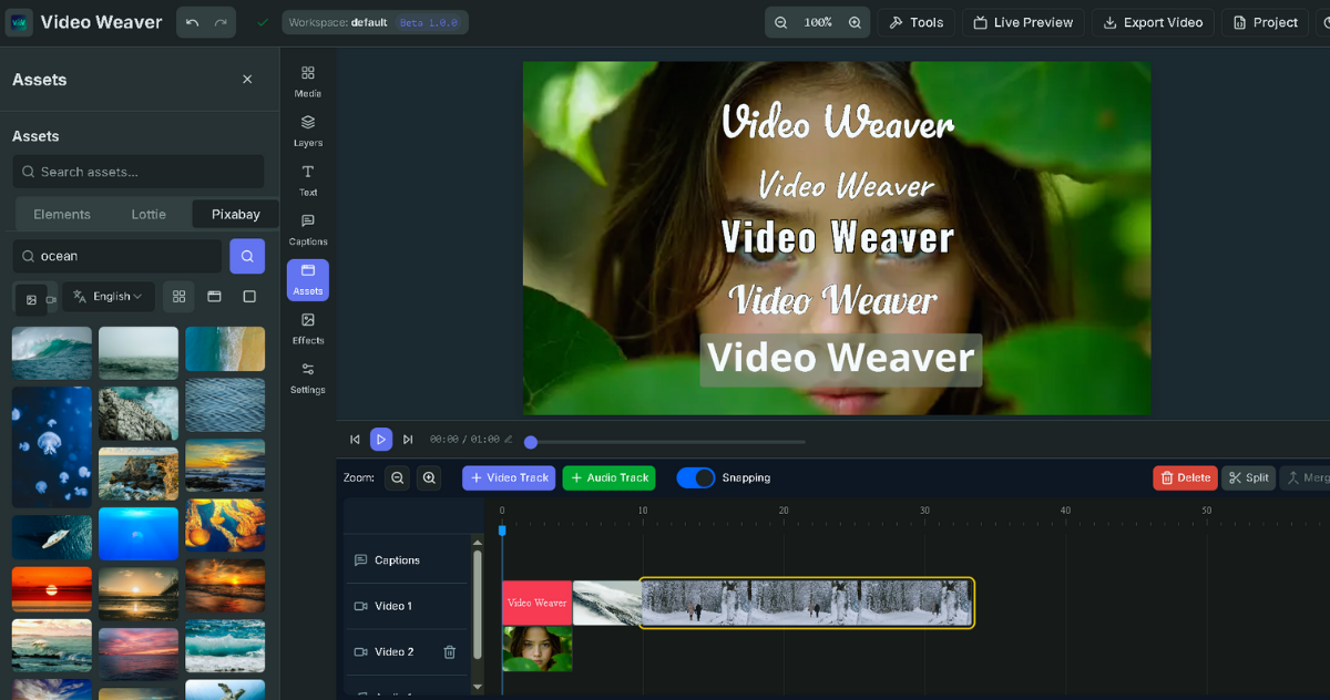 Video Editor Preview